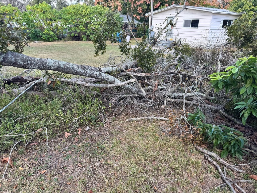 3402 Pearson Road Valrico FL 33596 TB8448690 image22