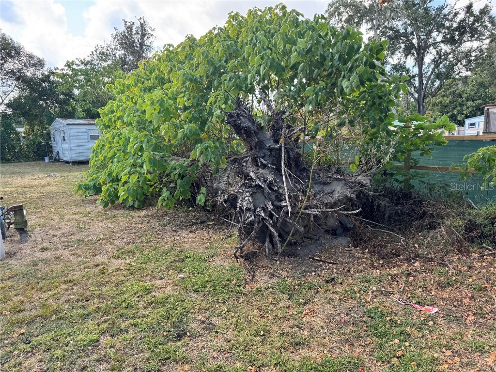 3402 Pearson Road Valrico FL 33596 TB8448690 image24