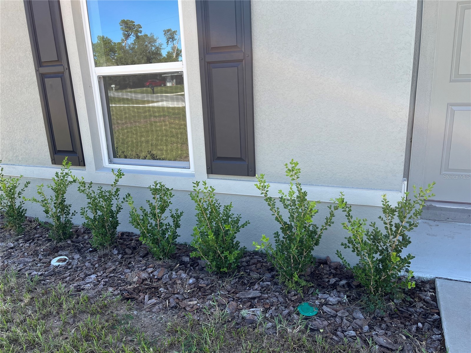 3402 SW 165th Loop Ocala FL 34473 O6411465 image10