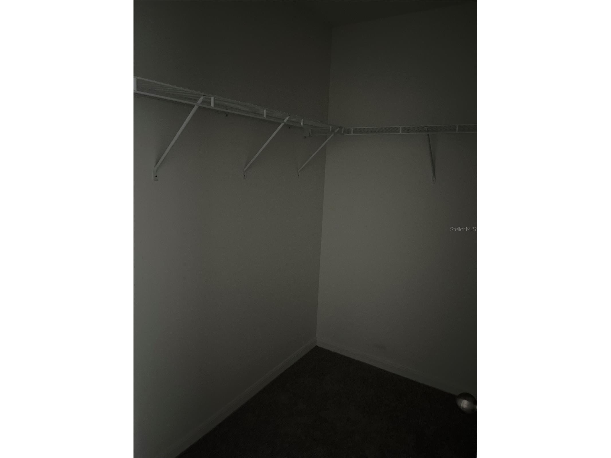 3402 SW 165th Loop Ocala FL 34473 O6411465 image35