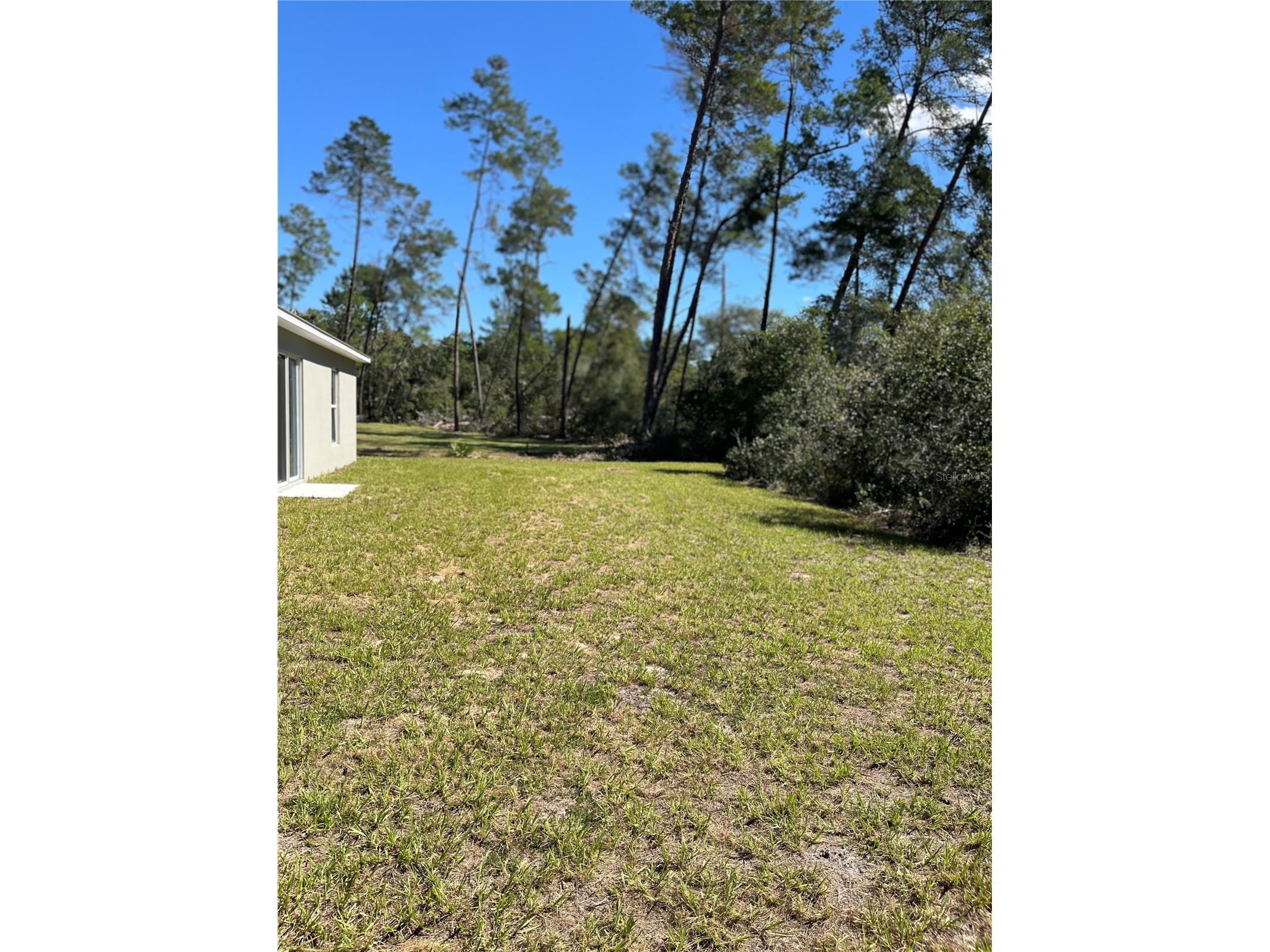 3402 SW 165th Loop Ocala FL 34473 O6411465 image6