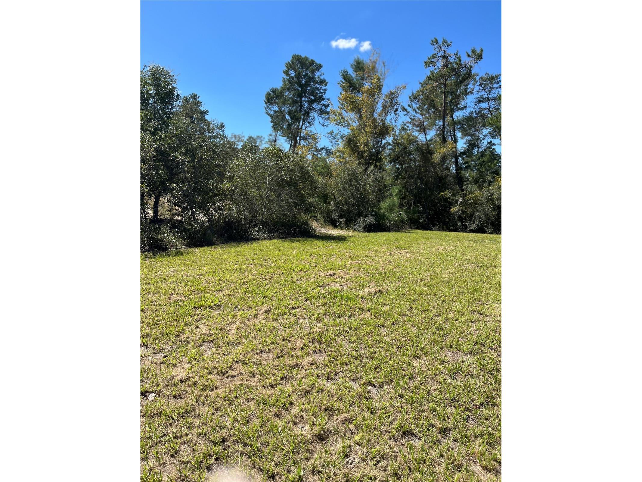 3402 SW 165th Loop Ocala FL 34473 O6411465 image7