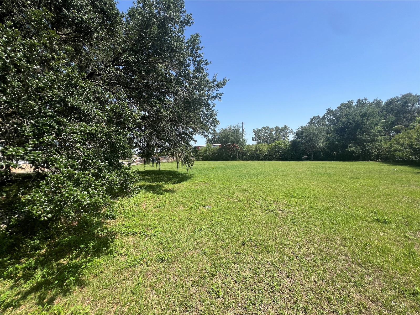 34020 & 34024 State Road 54 Wesley Chapel FL 33543 TB8476405 image15