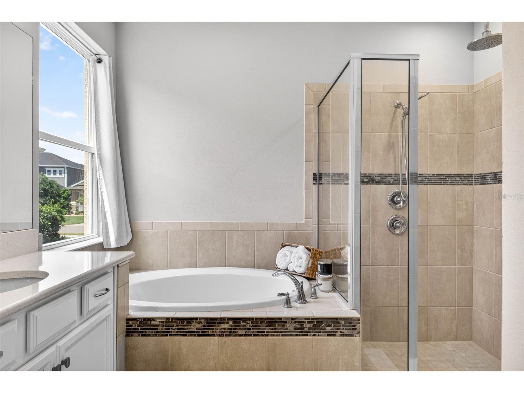 34026 Astoria Circle Wesley Chapel FL 33545 TB8494618 image27