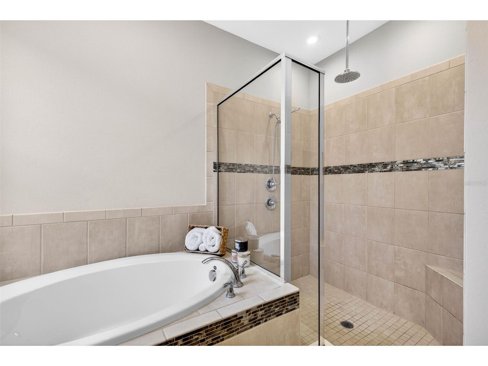 34026 Astoria Circle Wesley Chapel FL 33545 TB8494618 image28