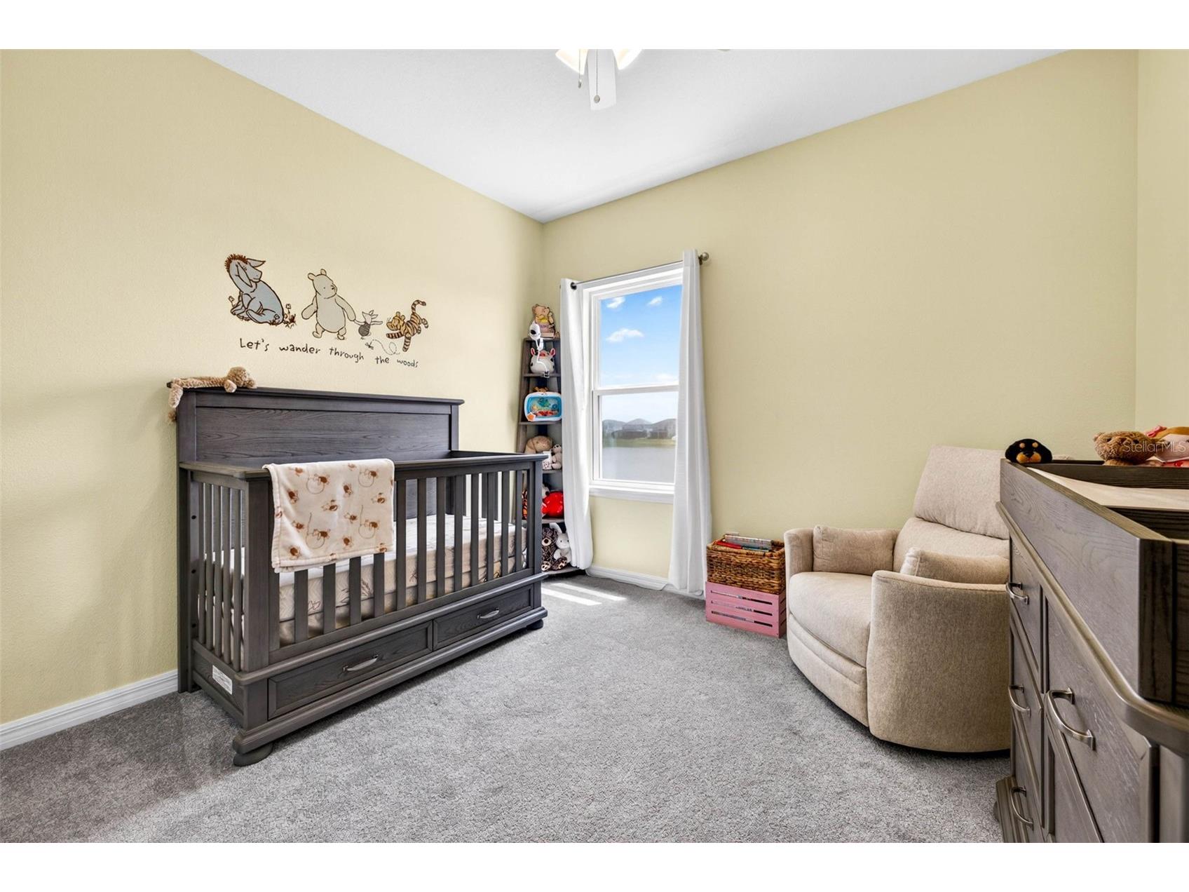 34026 Astoria Circle Wesley Chapel FL 33545 TB8494618 image42