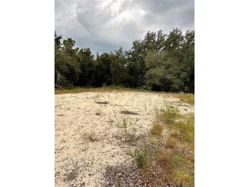 34026 Eiler Boulevard Webster FL 33597 T3335461 image1