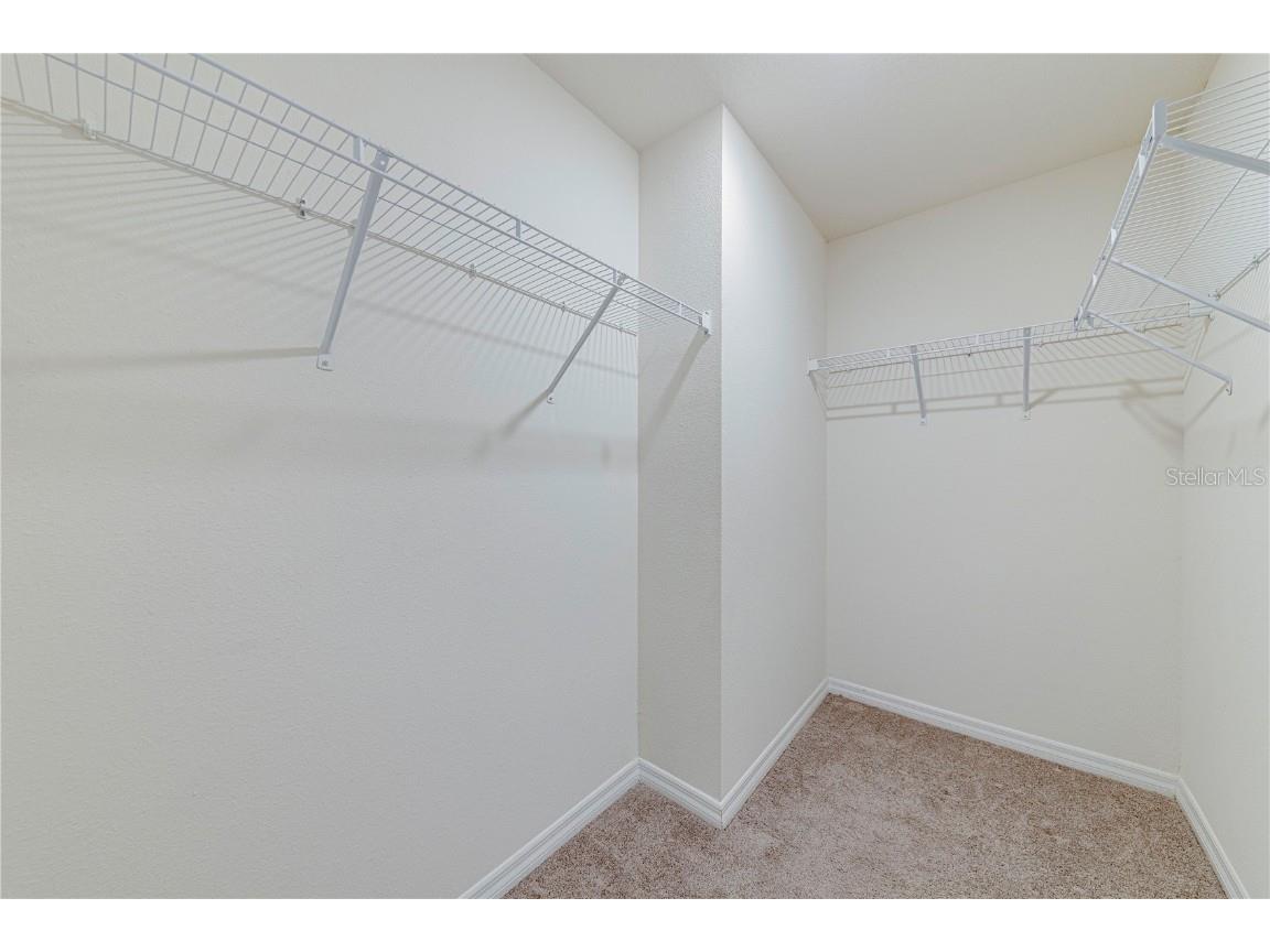 34026 Soaring Bamboo Path Wesley Chapel FL 33543 O6349350 image27