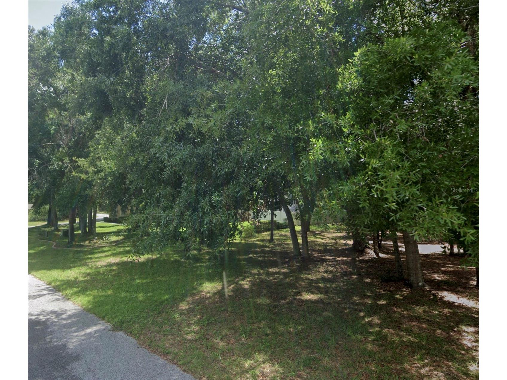 34027 Congressional Avenue Dade City FL 33523 W7884027 image4
