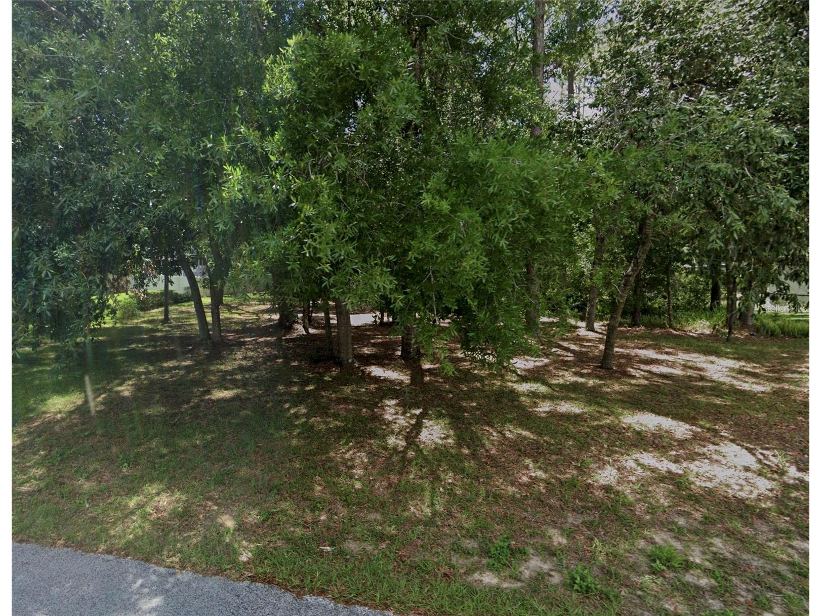 34027 Congressional Avenue Dade City FL 33523 W7884027 image5