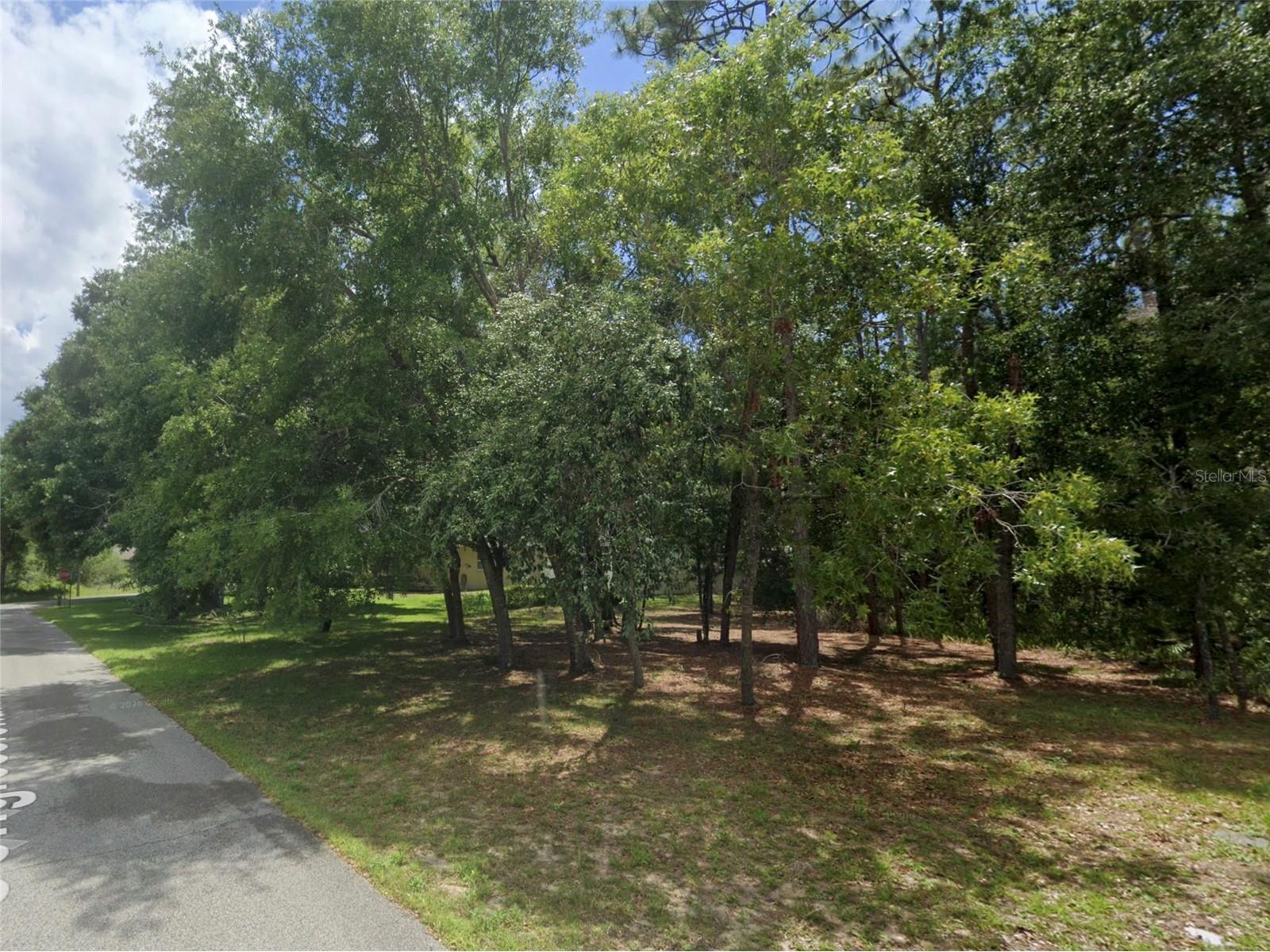 34027 Congressional Avenue Dade City FL 33523 W7884027 image7
