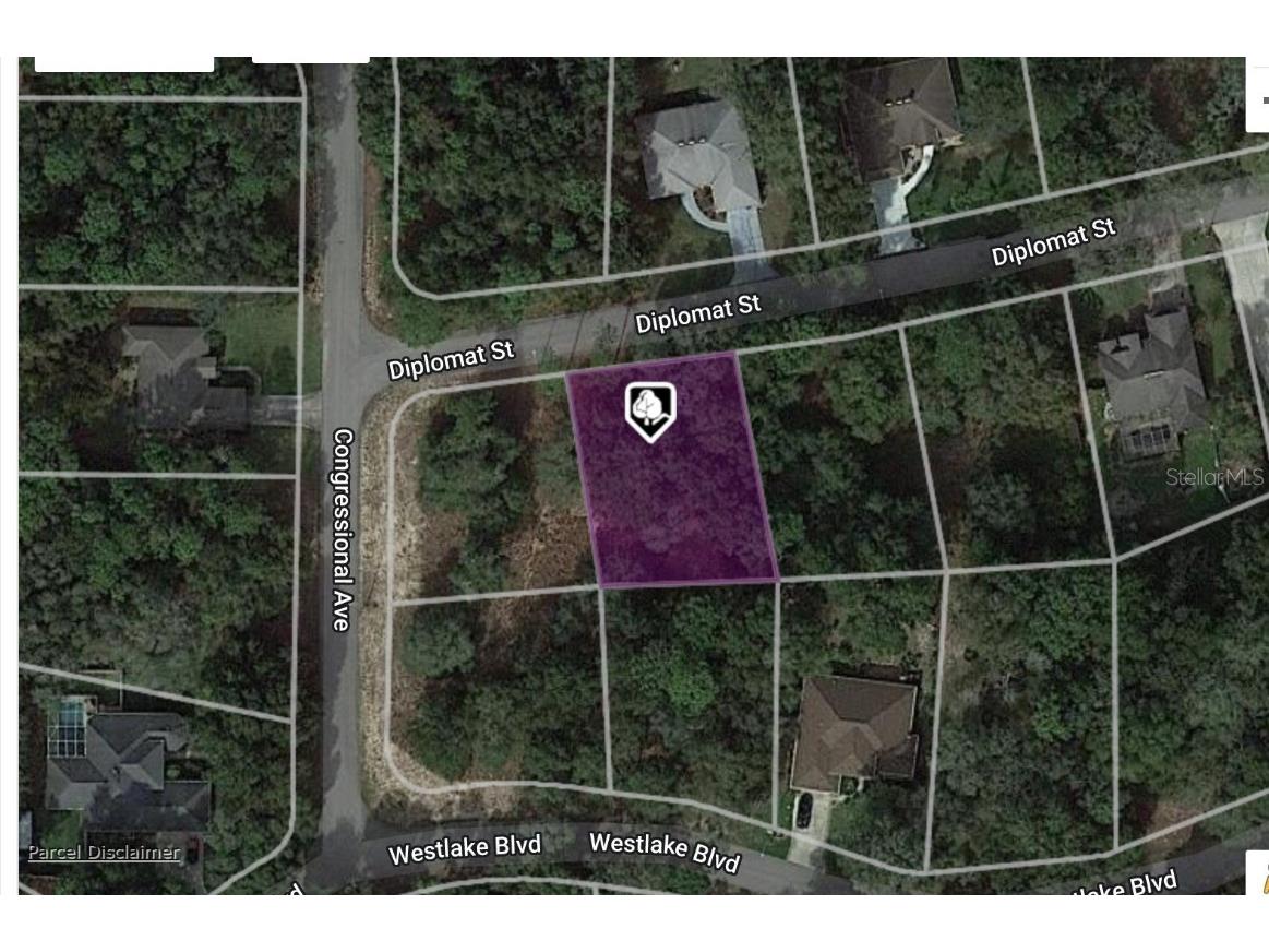 34028 Diplomat Street Dade City FL 33523 C7485212 image1