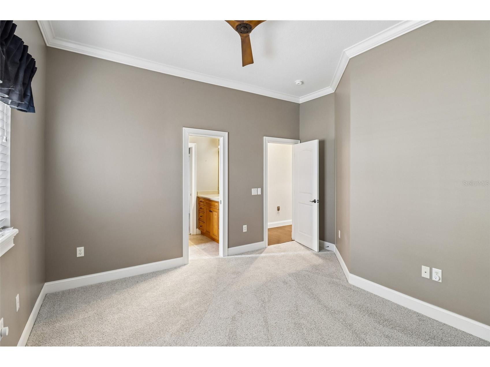 34028 Matthews Cove Leesburg FL 34788 G5112551 image23
