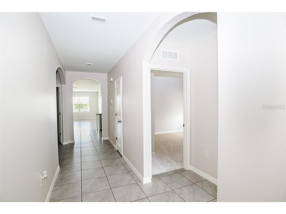 34029 Sorrel Mint Drive Wesley Chapel FL 33543 TB8445602 image10