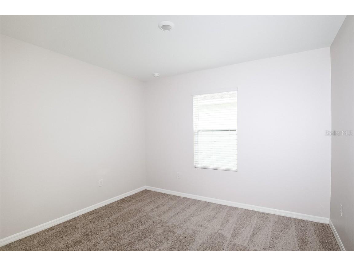 34029 Sorrel Mint Drive Wesley Chapel FL 33543 TB8445602 image11