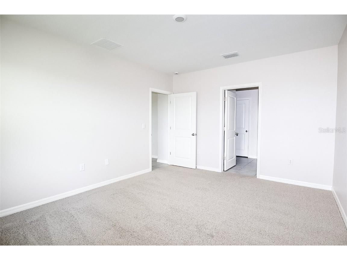 34029 Sorrel Mint Drive Wesley Chapel FL 33543 TB8445602 image15