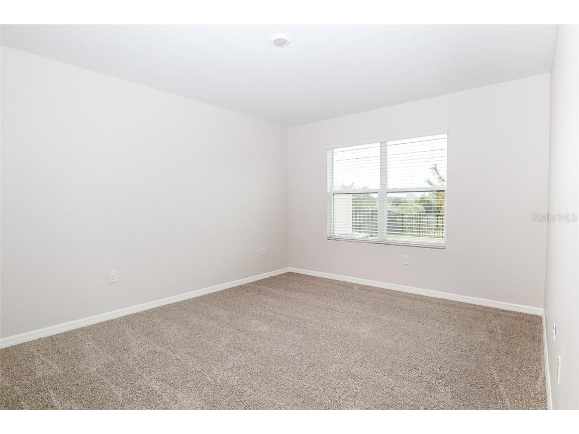 34029 Sorrel Mint Drive Wesley Chapel FL 33543 TB8445602 image16