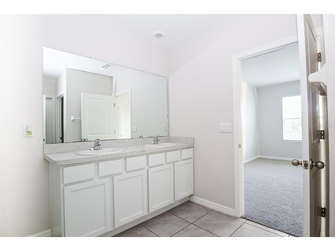 34029 Sorrel Mint Drive Wesley Chapel FL 33543 TB8445602 image19