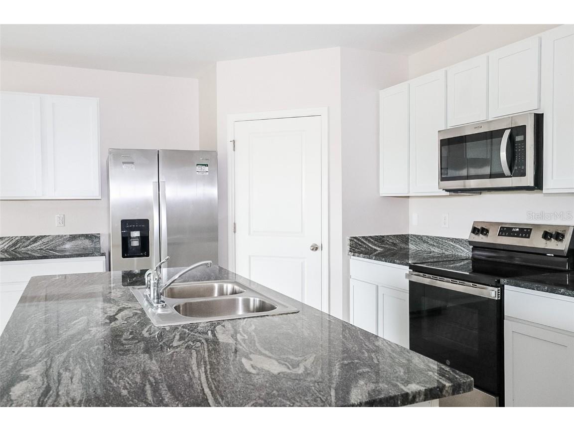 34029 Sorrel Mint Drive Wesley Chapel FL 33543 TB8445602 image2