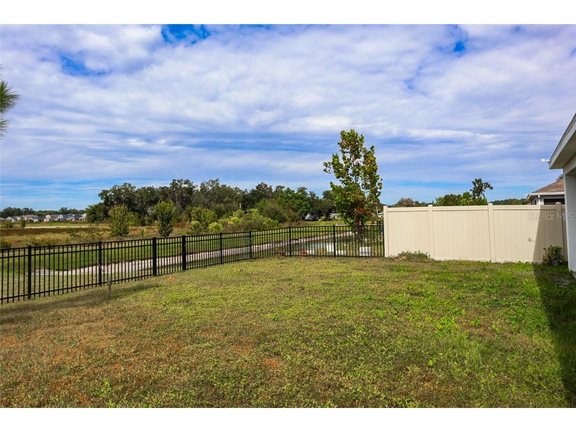 34029 Sorrel Mint Drive Wesley Chapel FL 33543 TB8445602 image22