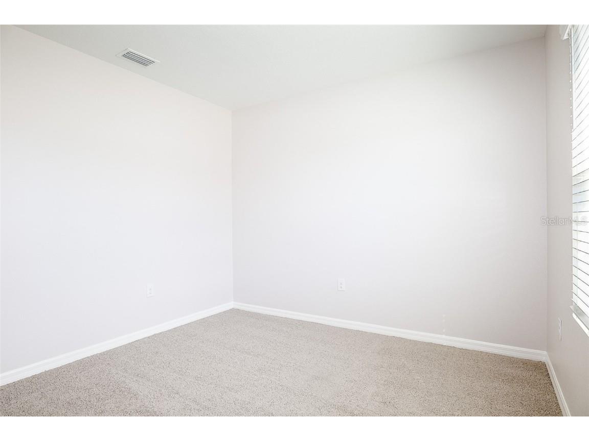 34029 Sorrel Mint Drive Wesley Chapel FL 33543 TB8445602 image6