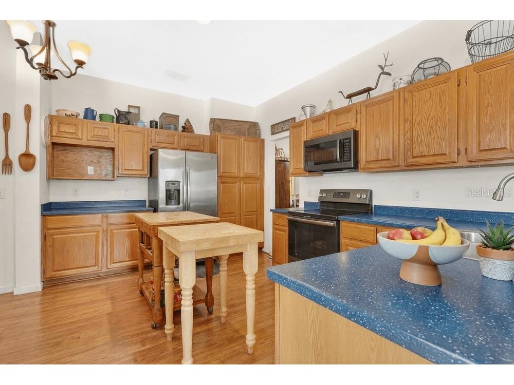 3403 Gatlin Place Circle Orlando FL 32812 - Lake George O6398134 image11