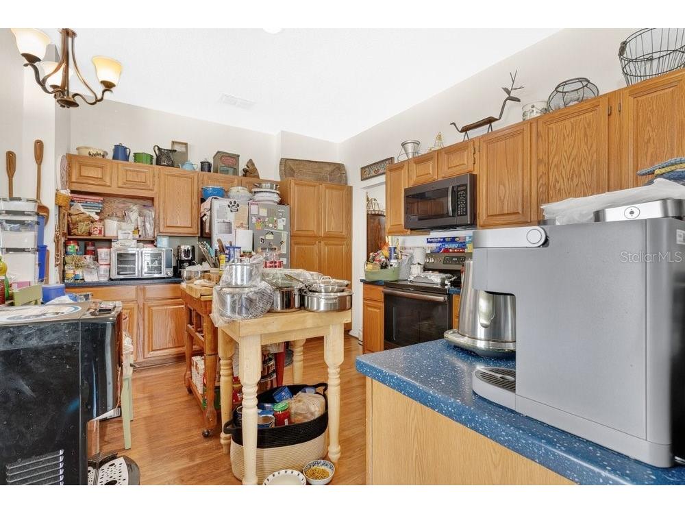 3403 Gatlin Place Circle Orlando FL 32812 - Lake George O6398134 image12