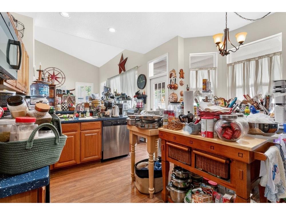 3403 Gatlin Place Circle Orlando FL 32812 - Lake George O6398134 image13