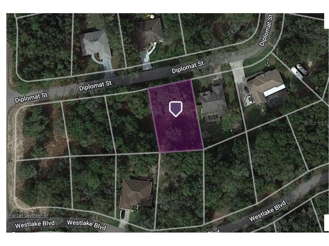 34032 Diplomat Street Dade City FL 33523 C7485213 image1