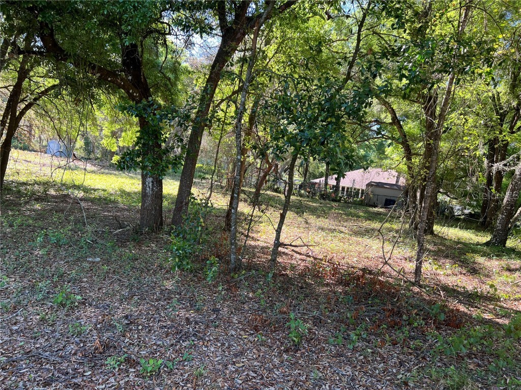 34032 Diplomat Street Dade City FL 33523 T3513076 image1
