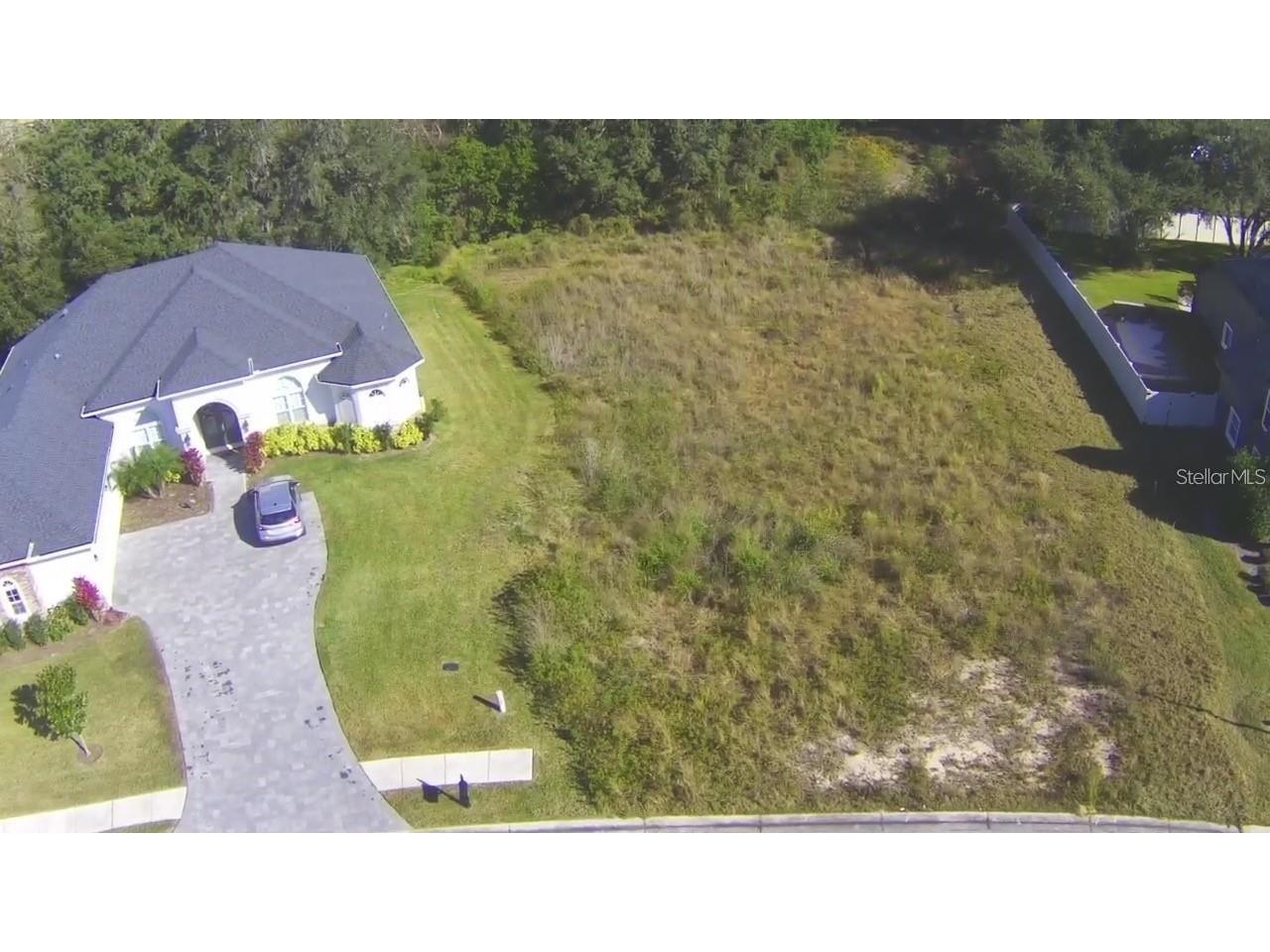 34034 Matthews Cove Leesburg FL 34788 A4604102 image1