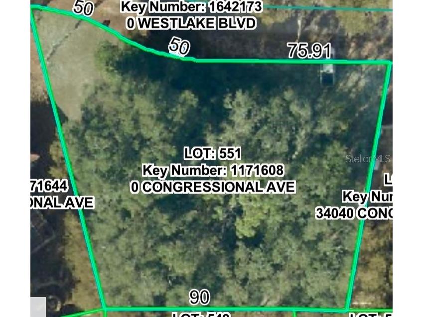 34036 Congressional Avenue Dade City FL 33523 W7886295 image2