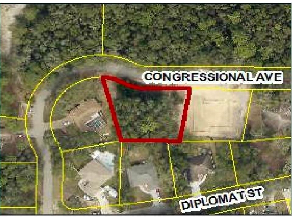 34036 Congressional Avenue Dade City FL 33523 W7886295 image3