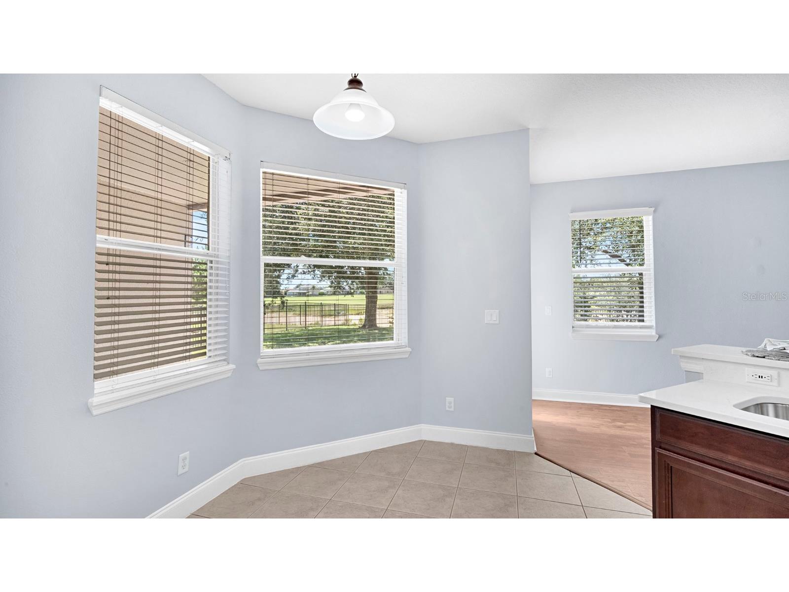 34037 Fortunado Street Sorrento FL 32776 O6418102 image18