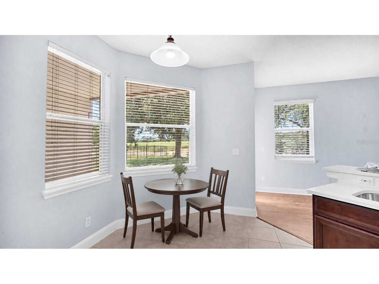 34037 Fortunado Street Sorrento FL 32776 O6418102 image19