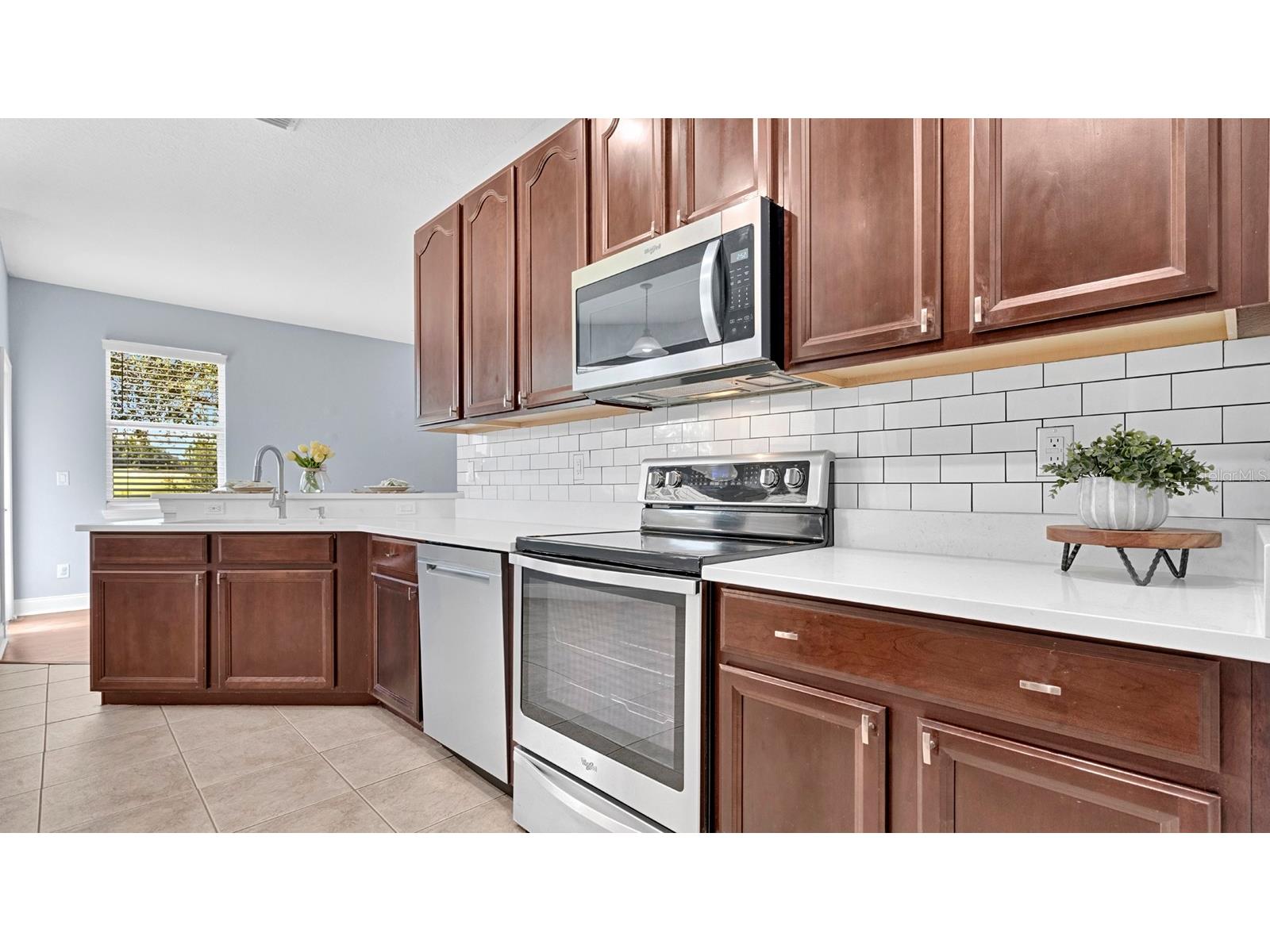 34037 Fortunado Street Sorrento FL 32776 O6418102 image20