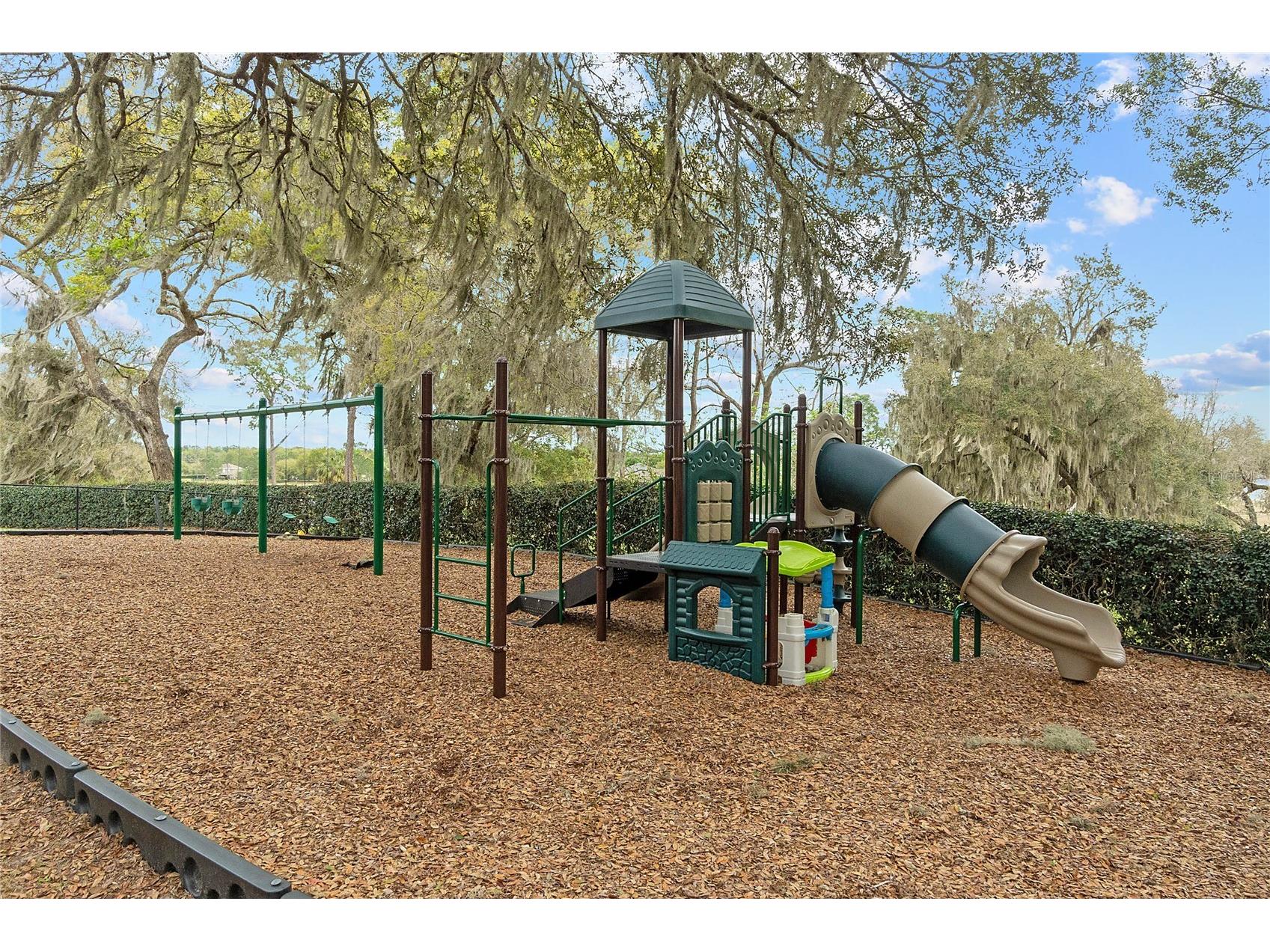 34037 Fortunado Street Sorrento FL 32776 O6418102 image60