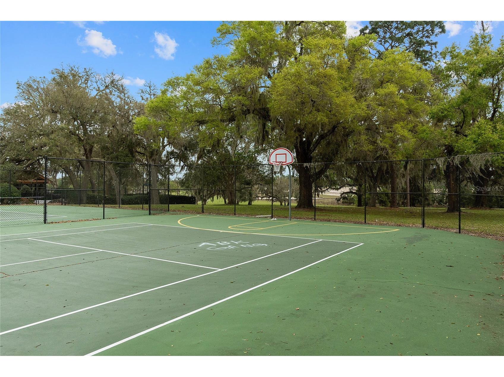 34037 Fortunado Street Sorrento FL 32776 O6418102 image61