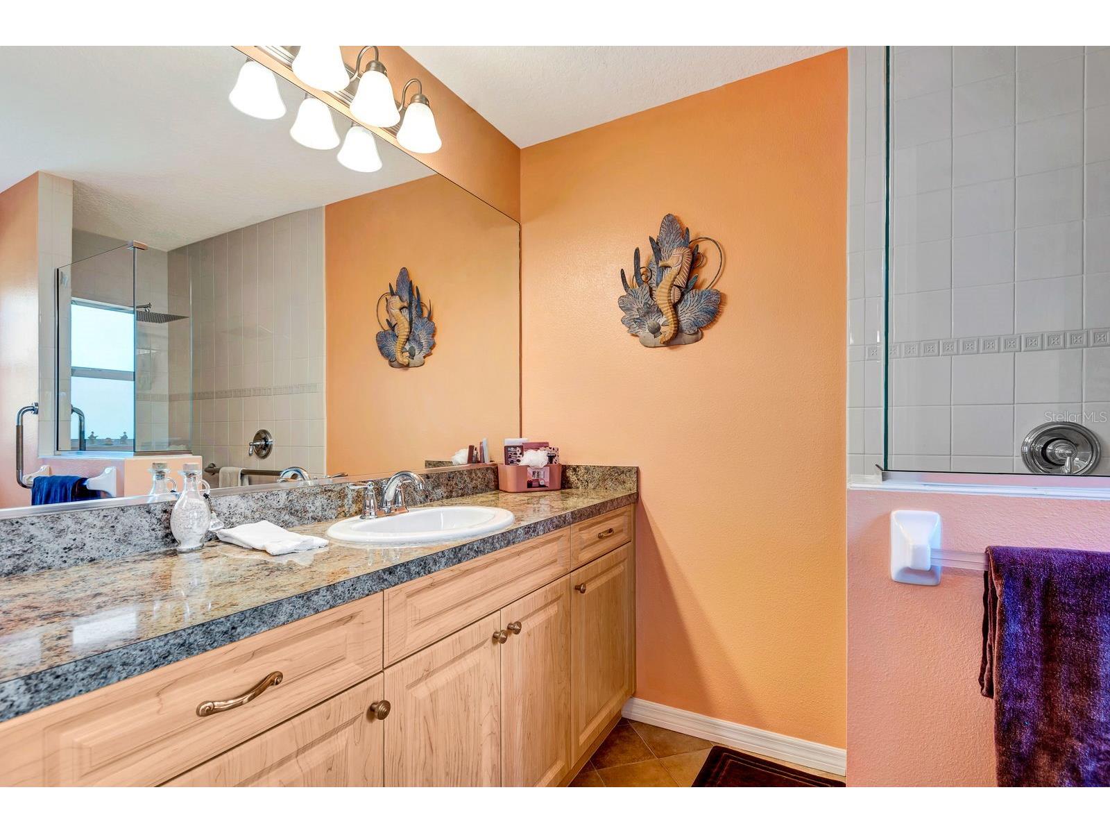 3404 54th Street E Palmetto FL 34221 A4674796 image24
