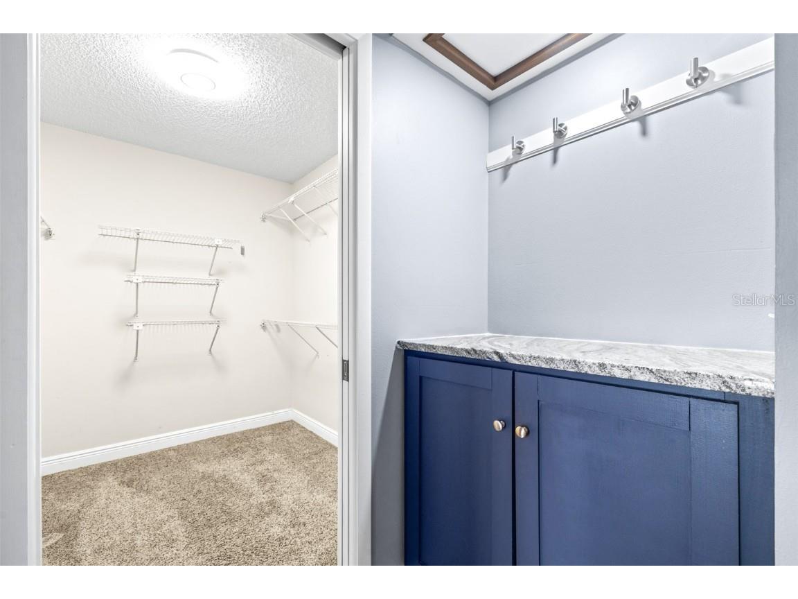 3404 Brian Road S Palm Harbor FL 34685 TB8433828 image40