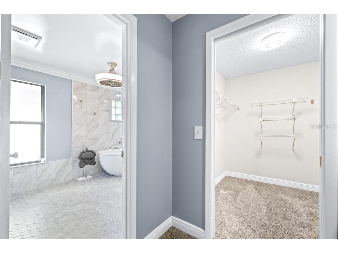 3404 Brian Road S Palm Harbor FL 34685 TB8433828 image41