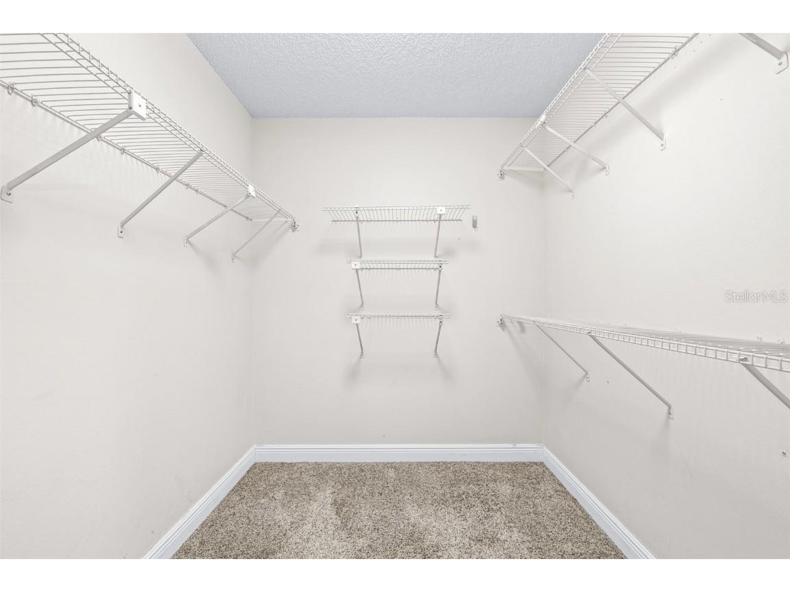 3404 Brian Road S Palm Harbor FL 34685 TB8433828 image42