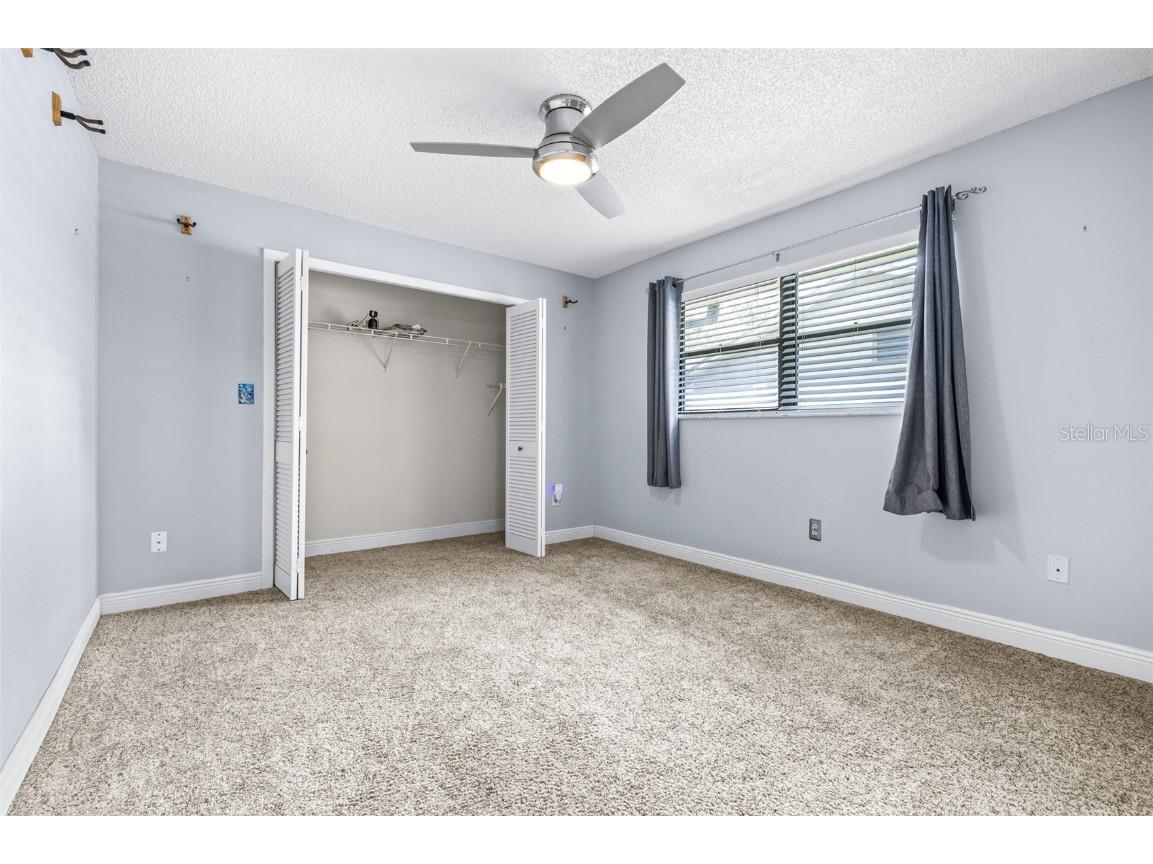 3404 Brian Road S Palm Harbor FL 34685 TB8433828 image49