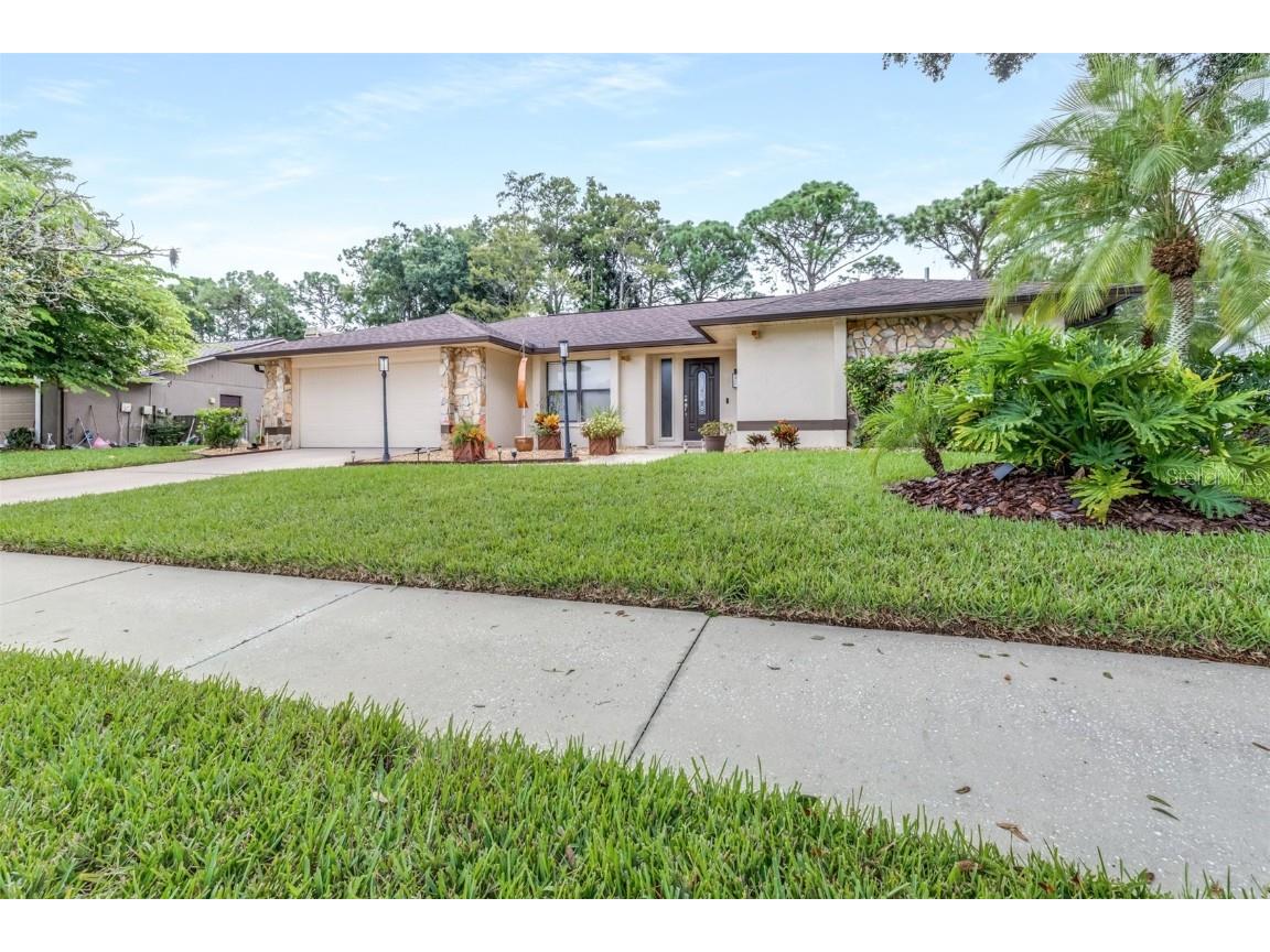3404 Brian Road S Palm Harbor FL 34685 TB8433828 image5