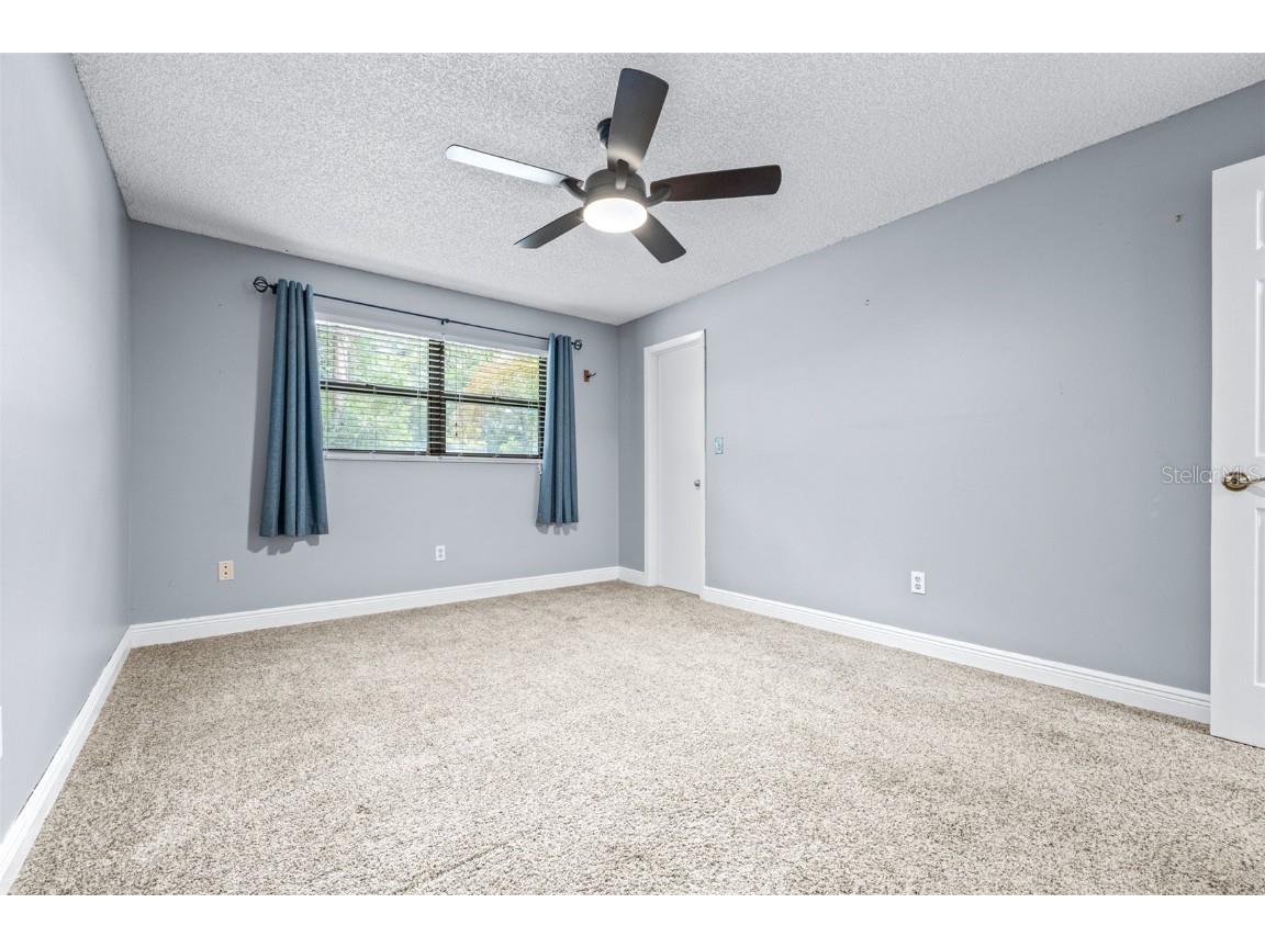 3404 Brian Road S Palm Harbor FL 34685 TB8433828 image56