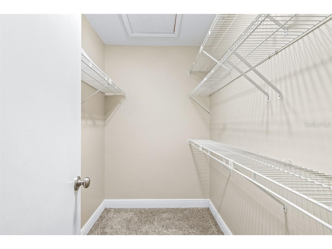 3404 Brian Road S Palm Harbor FL 34685 TB8433828 image60