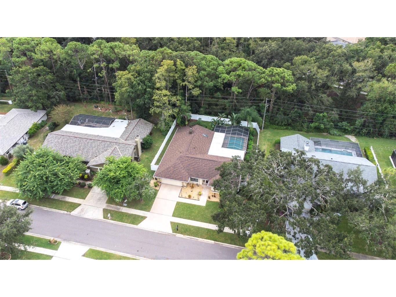 3404 Brian Road S Palm Harbor FL 34685 TB8433828 image90
