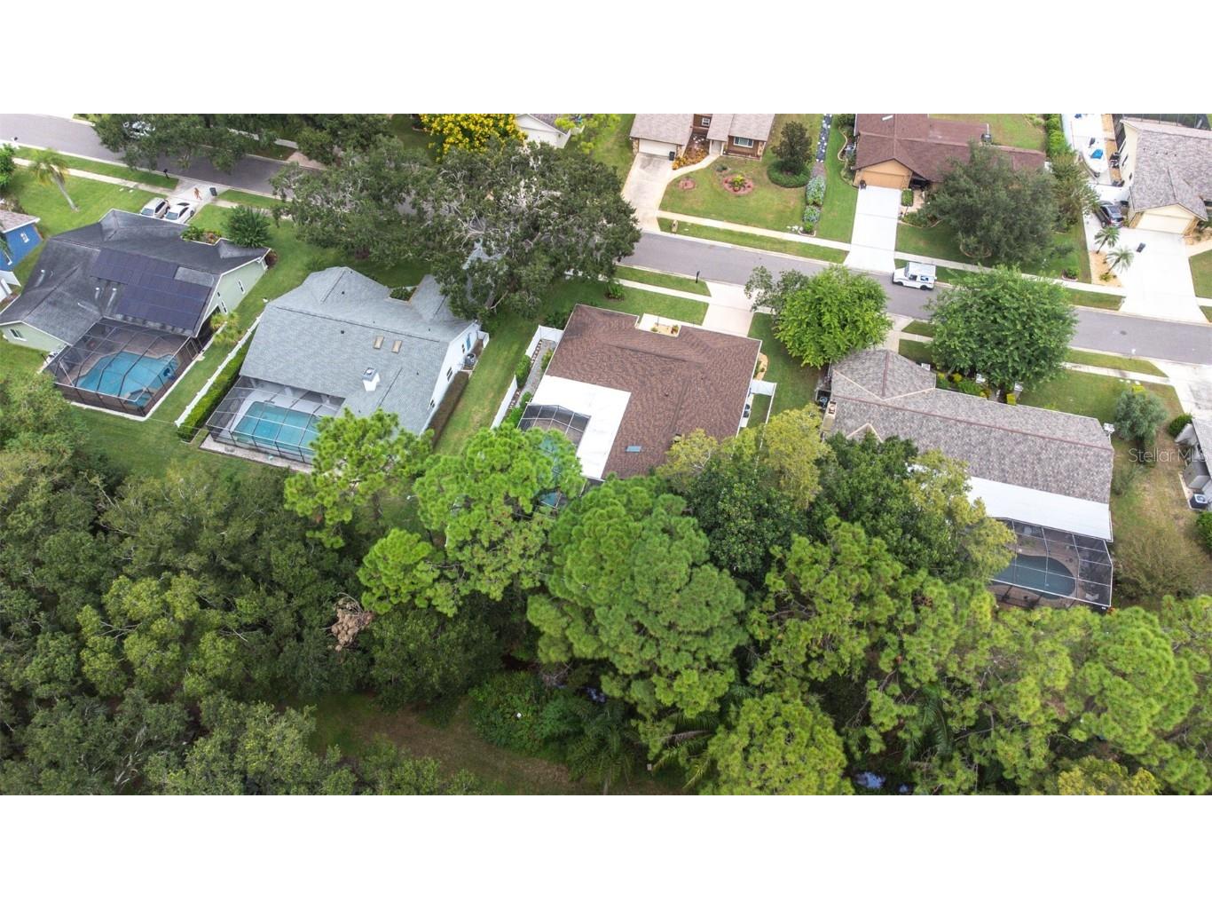 3404 Brian Road S Palm Harbor FL 34685 TB8433828 image96
