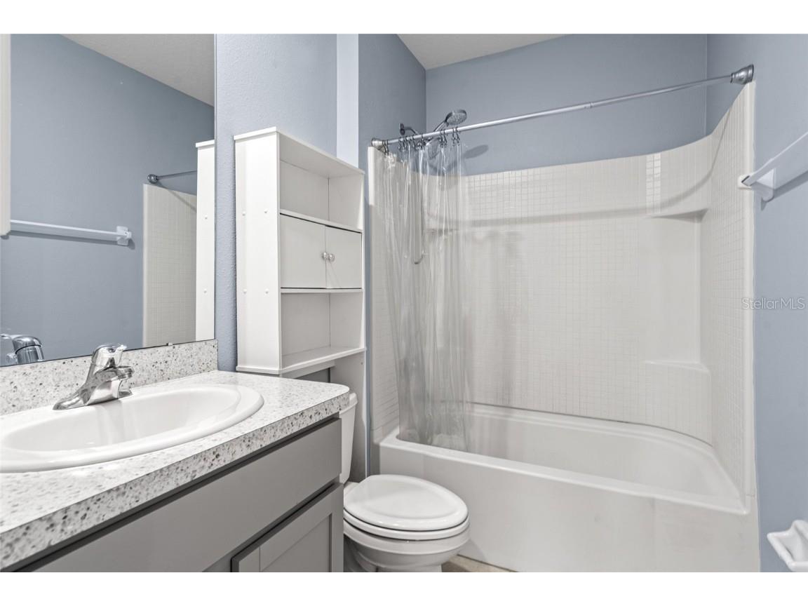 34044 Sorrel Mint Drive Wesley Chapel FL 33543 TB8389306 image7