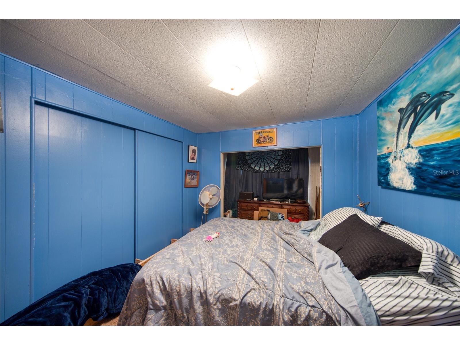 34047 Avocado Drive N Pinellas Park FL 33781 TB8488915 image17